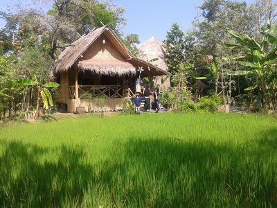 garden1